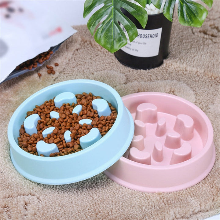 Why Your Pet Needs the Anti-Choking Slow Feeding Pet Bowl