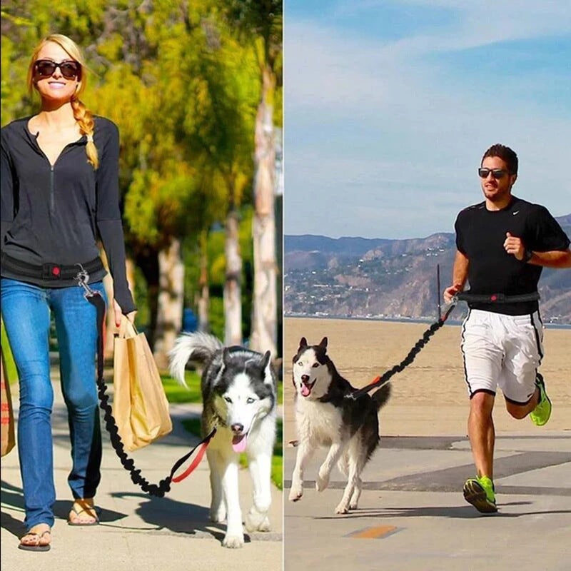 Discover the Freedom of Movement with Our Adjustable Pet Harness Collar